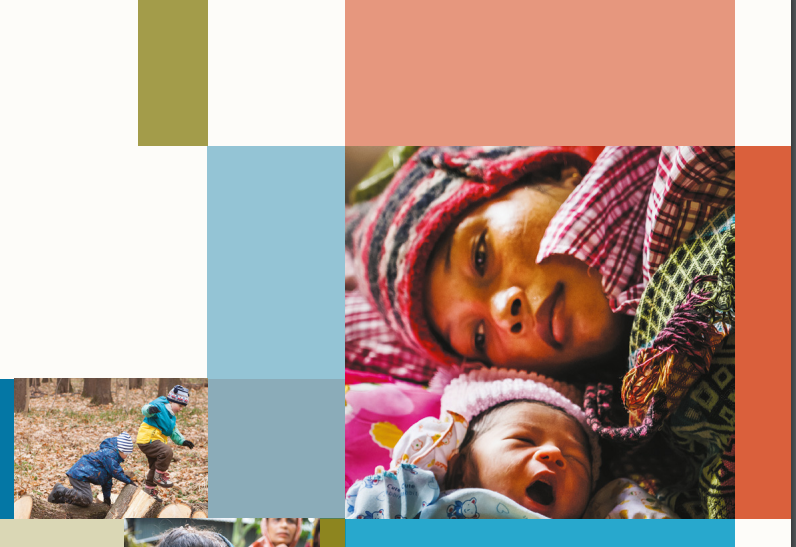 Programme Reporting Standards for Sexual, Reproductive, Maternal, Newborn, Child and Adolescent Health (brief 2)